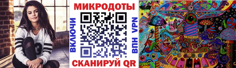 Псилоцибиновые грибы Psilocybe как найти закладки Томмот